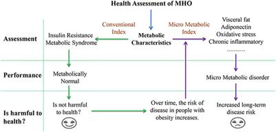 The Harm of Metabolically Healthy Obese and the Effect of Exercise on Their Health Promotion